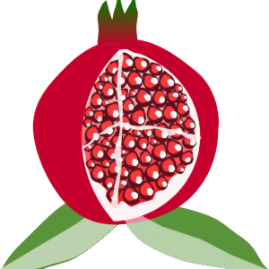 Pomegranate Face Scrub