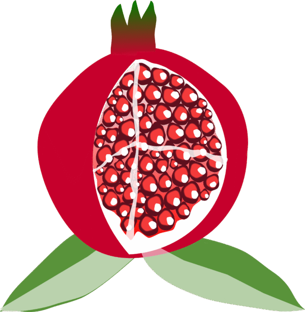 Pomegranate Face Scrub