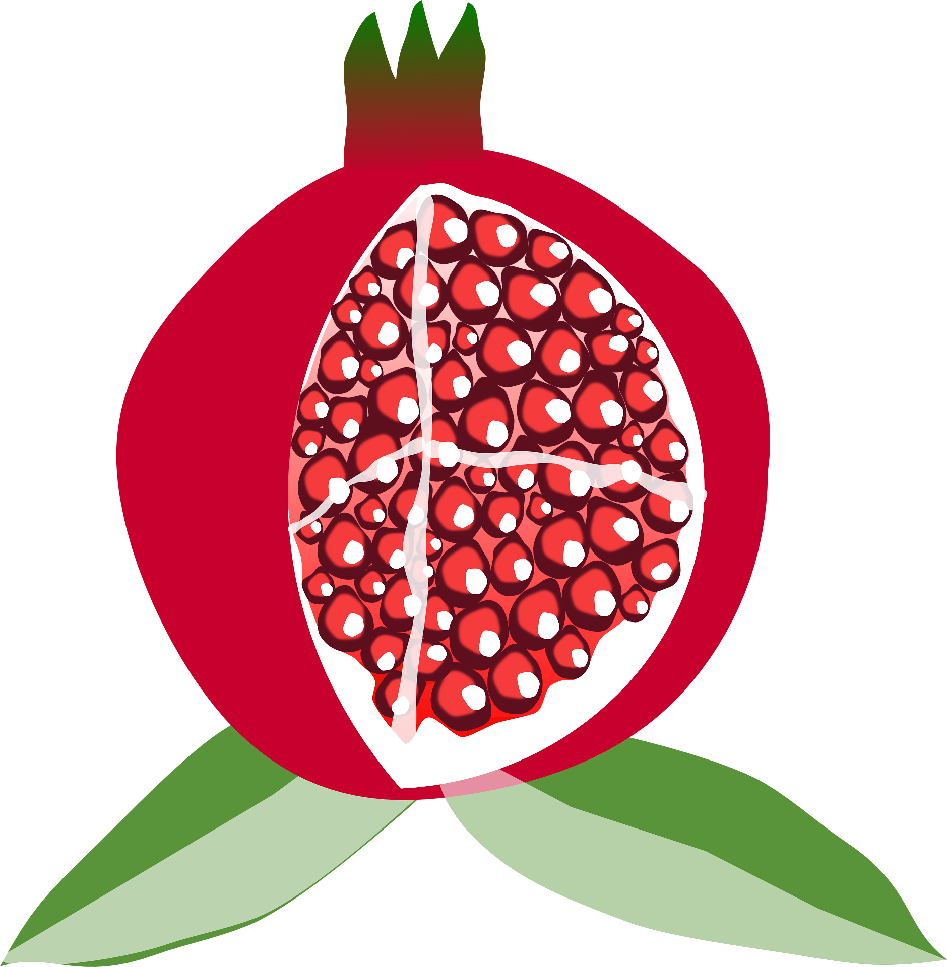 Pomegranate Face Scrub